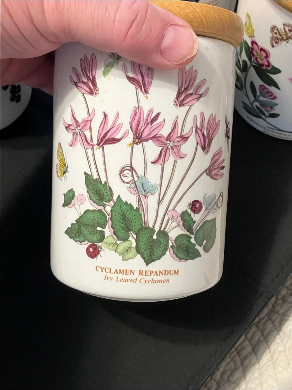 5 Portmeirion Botanic Garden Kitchen Storage Jars Canisters Lids Old Mark